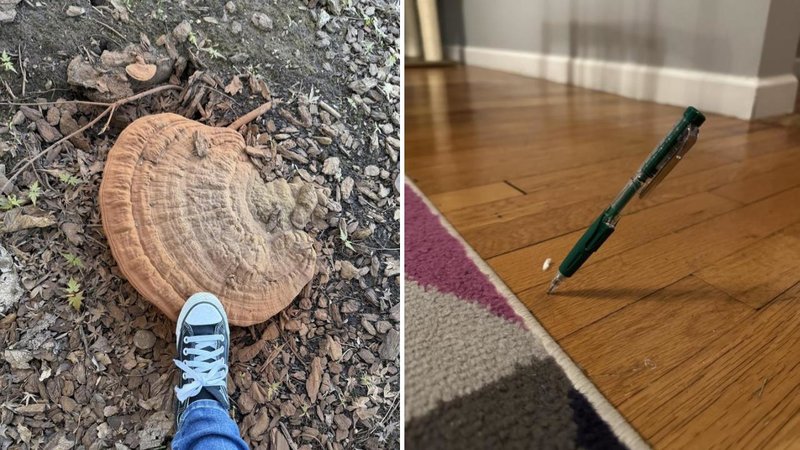 Two interesting images.