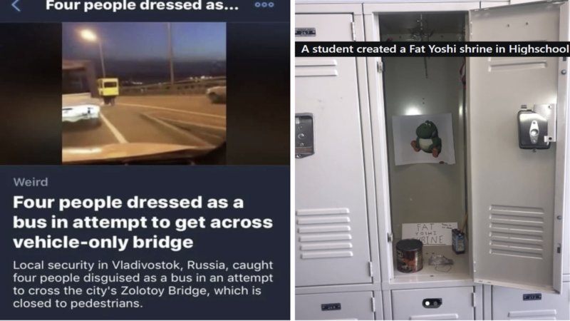 Two madlad examples.