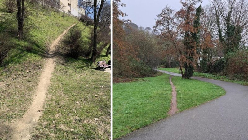 Two desire paths.