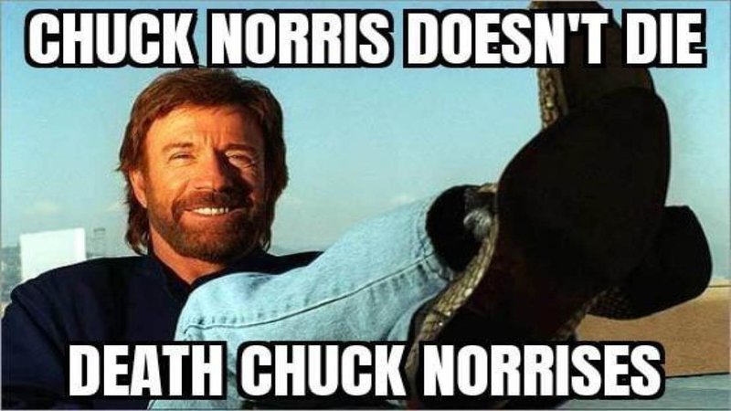 CHUCK NORRIS DOESN'T DIE
DEATH CHUCK NORRISES
