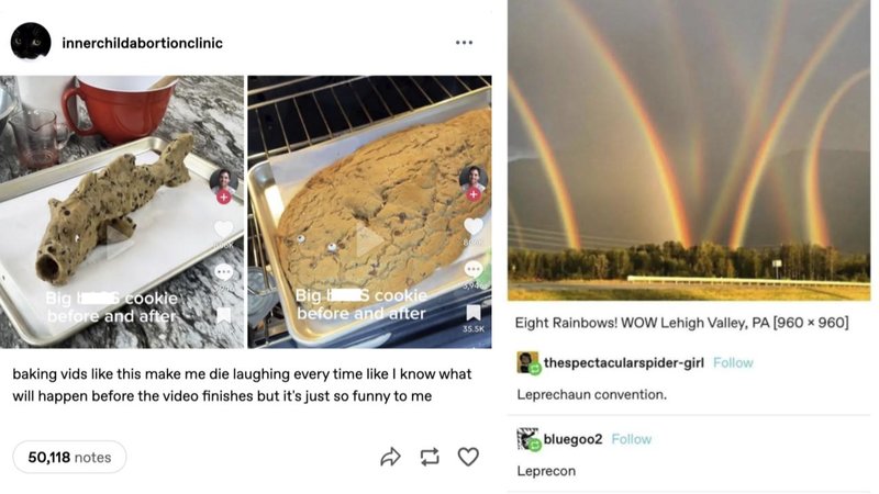 innerchildabortionclinic
Big cookie
before and after
Big BS cookie
before and after
35.5K
baking vids like this make me die laughing every time like I know what
will happen before the video finishes but it's just so funny to me
Eight Rainbows! WOW Lehigh Valley, PA [960 × 960]
thespectacularspider-girl Follow
Leprechaun convention.
bluegoo2 Follow
50,118 notes
D♡
Leprecon