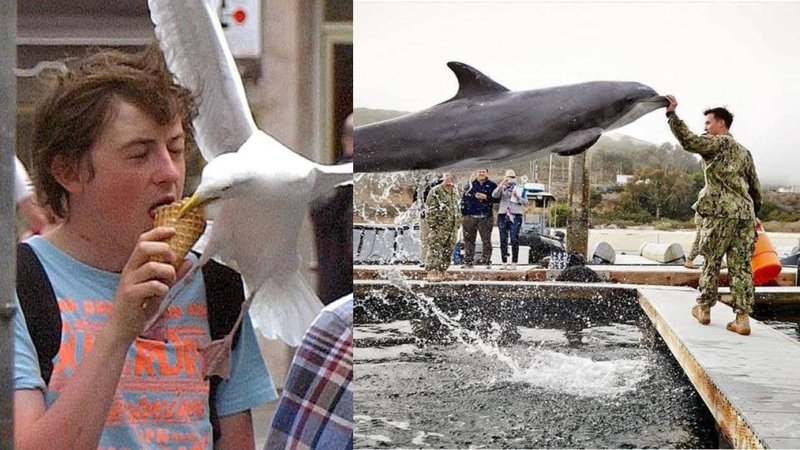 Two perfect images.