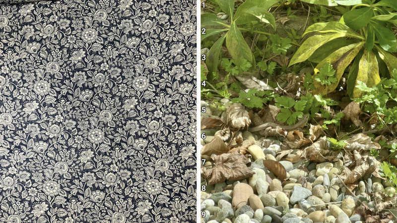 Two brain teasing puzzles.