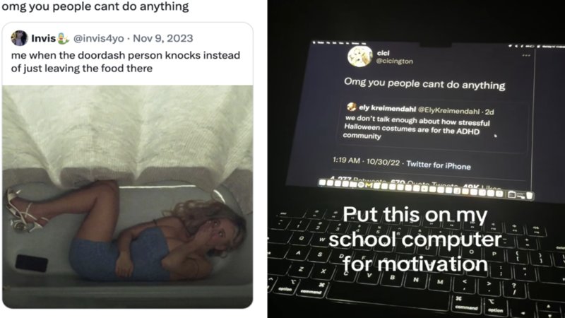 The OMG You People Can’t Do Anything meme and ADHD tweet explained.