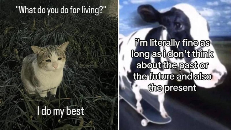 Two memes.