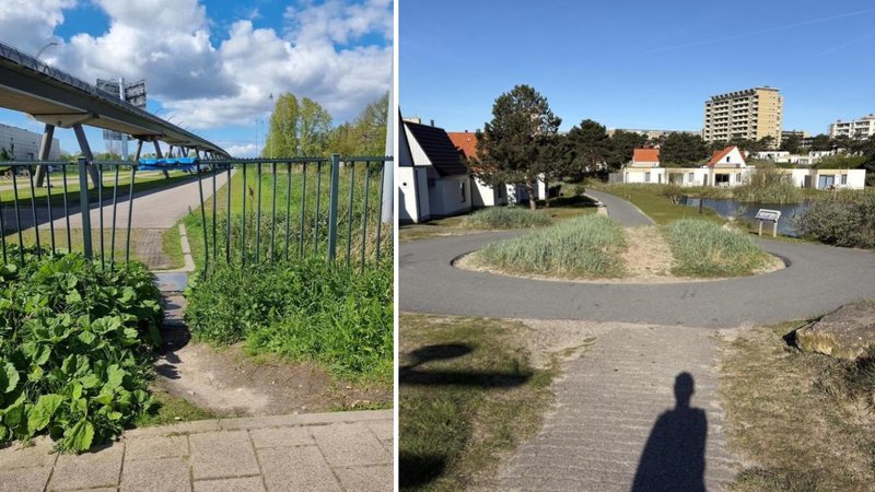 Two desire paths.