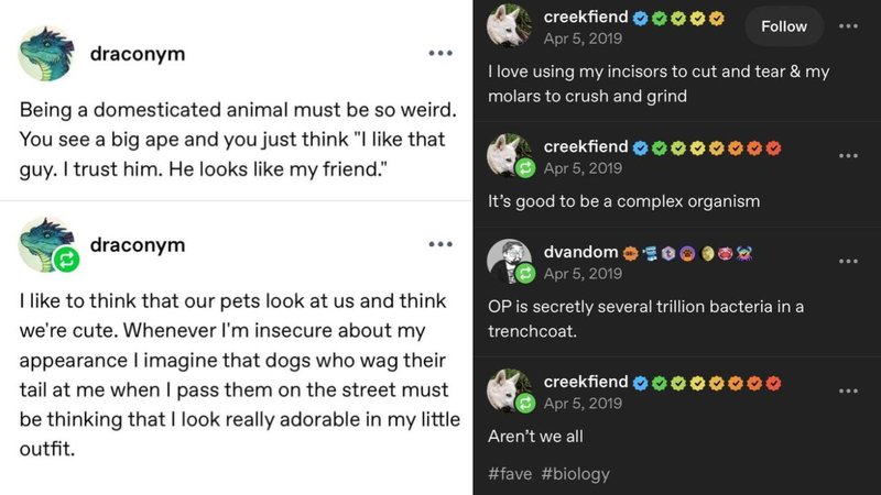 Two Tumblr posts.