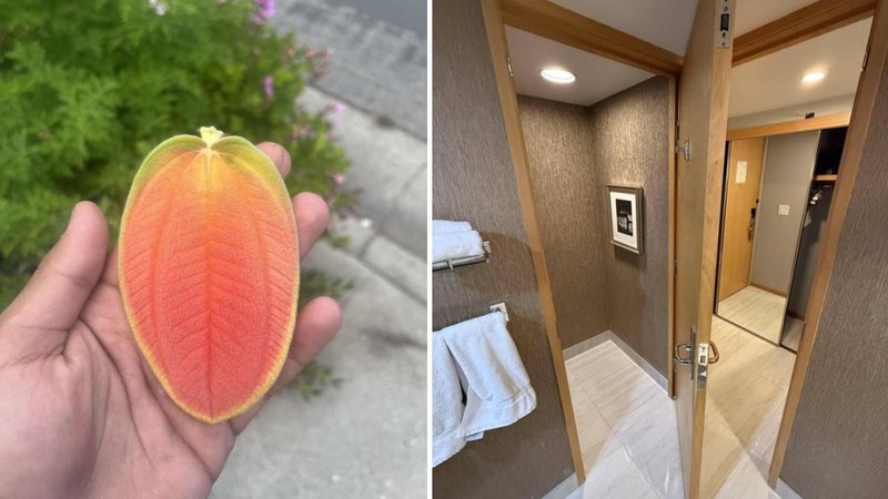 Two images.