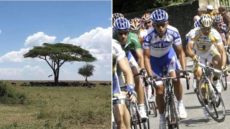 Two photos.
