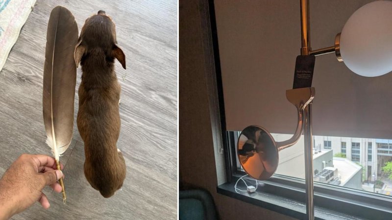 Two mildly interesting images.
