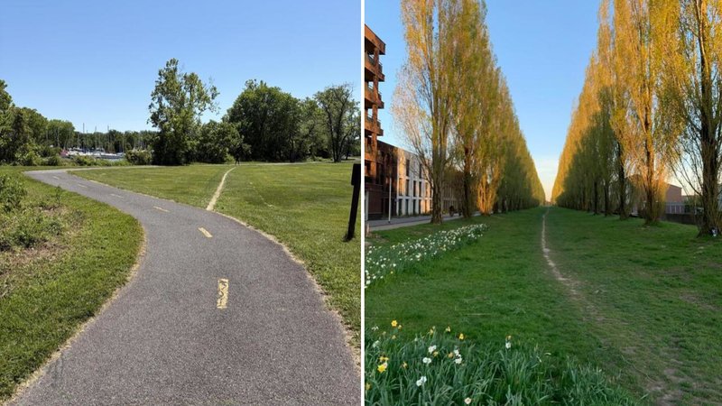 Two desire paths.