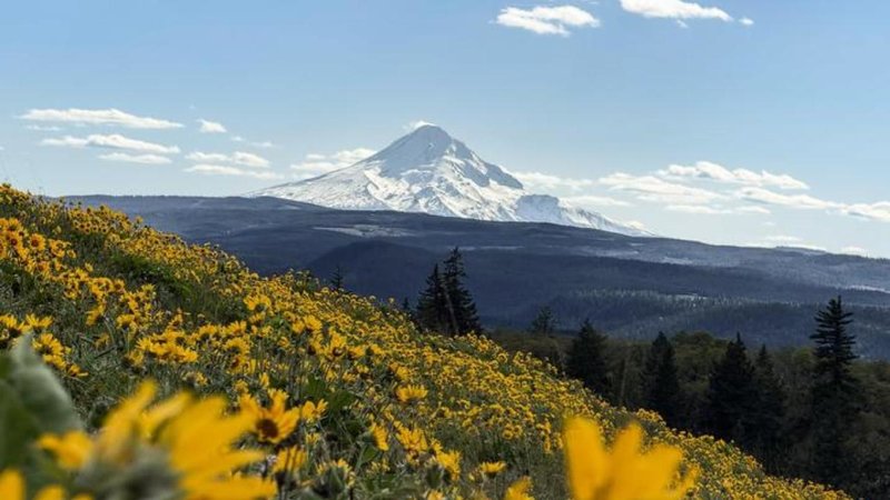 A landscape photo.