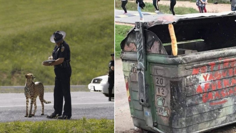 Two weird images.