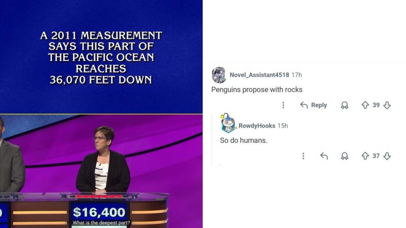 Technically true comments.