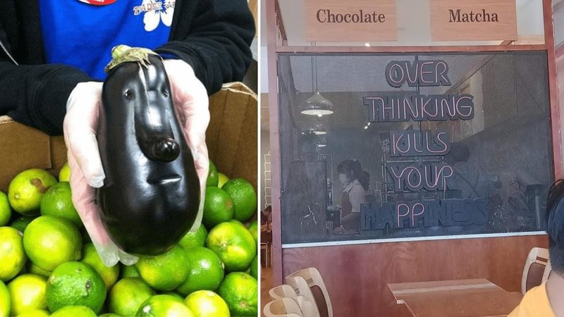 Two accidentally hilarious images.