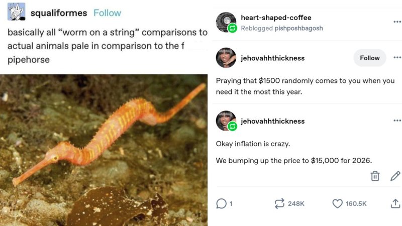 Two Tumblr memes.