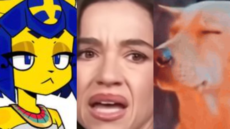 Weekly Meme Roundup: Kit Bodega, Julie Tsirkin and Tryna Ignore It memes.