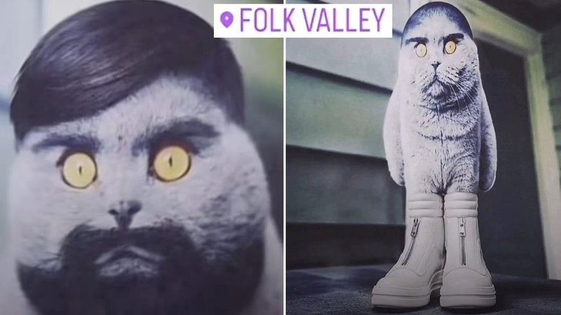 The 'Folk Valley Cat' meme explained.