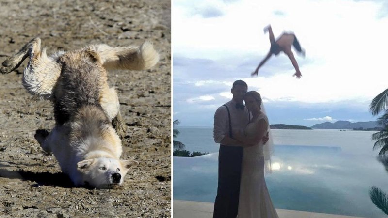 Two cool photos.