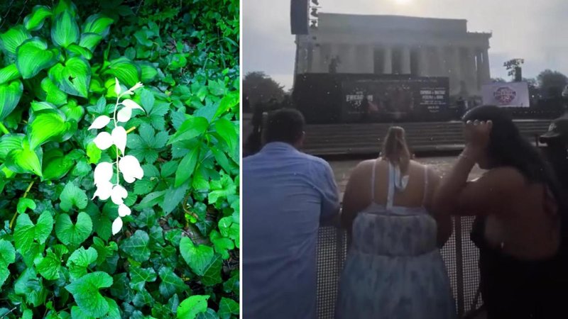 Two confusing images,