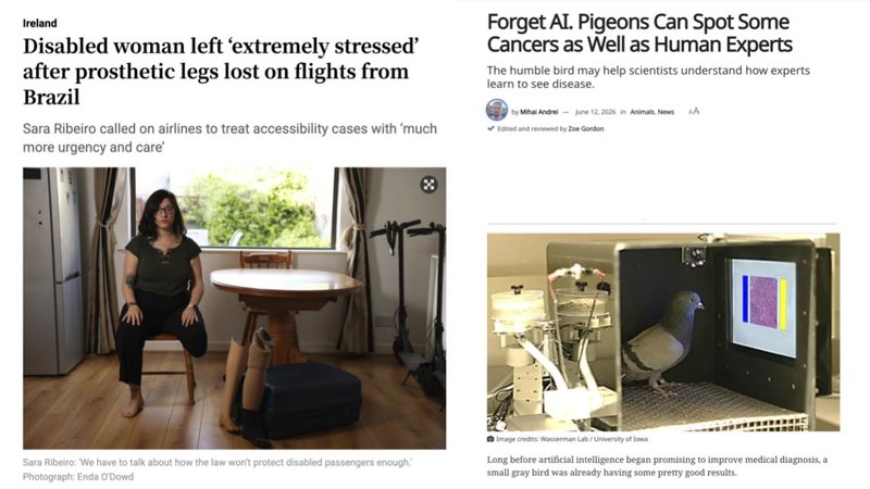 25 Unbelievable, But Very Real Headlines From Our Society | Know Your Meme