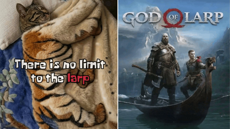 28 Of The Best 'Larp' Memes, Reaction Images And GIFs For Whatever ...
