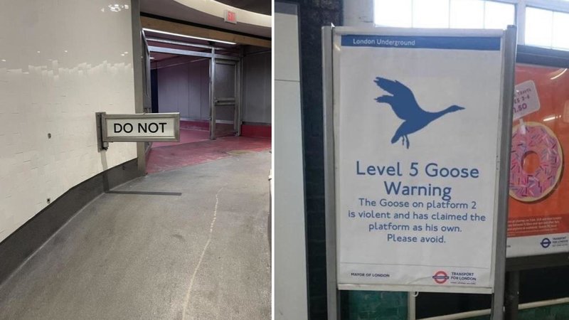 Two signs.