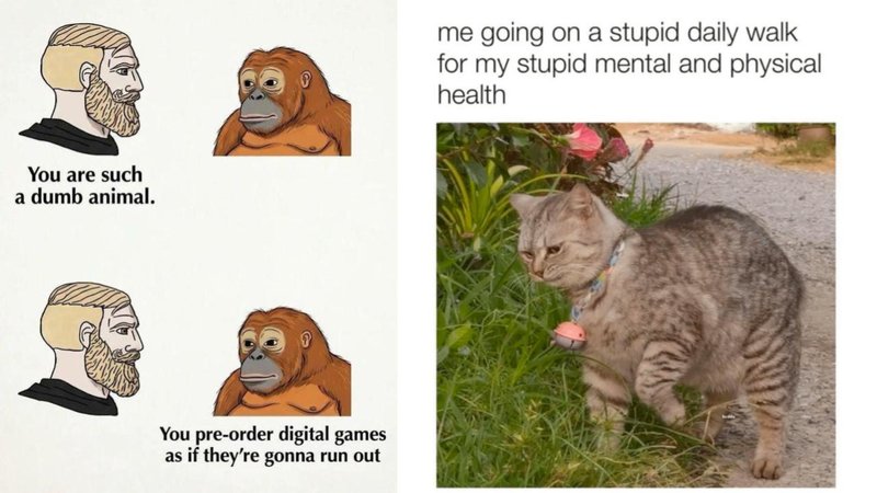 Two memes.
