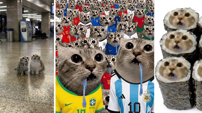 Drooling Cat / Crowd of Drooling Cats meme examples.
