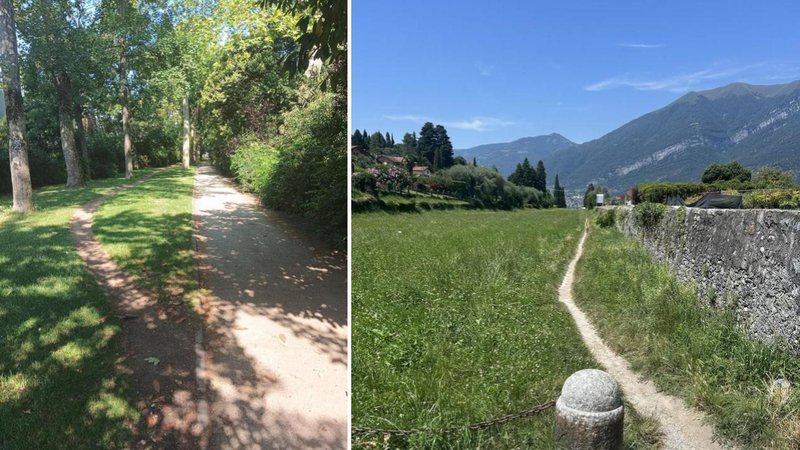 Two paths.