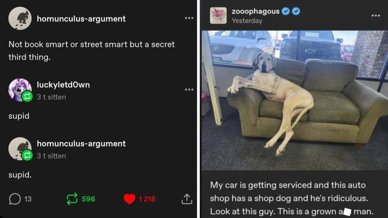 Two Tumblr posts.