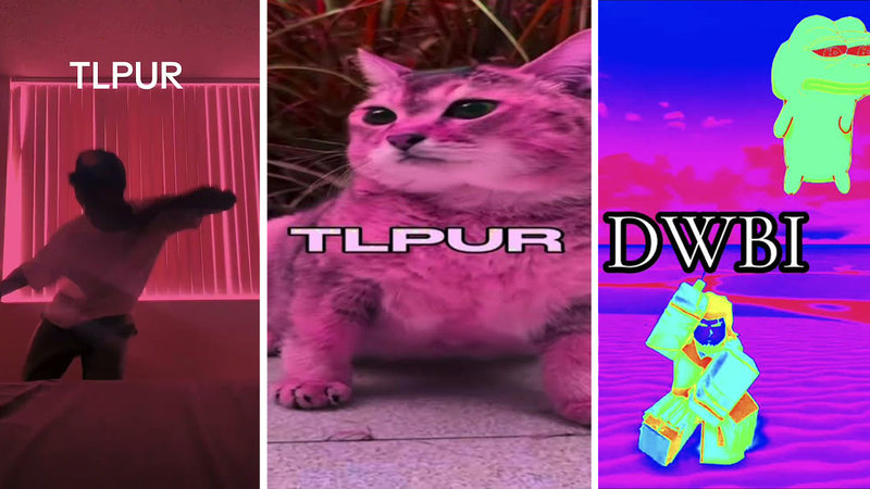 The slang term 'TLPUR' explained.