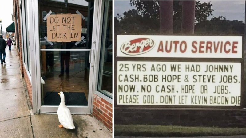 Two signs.