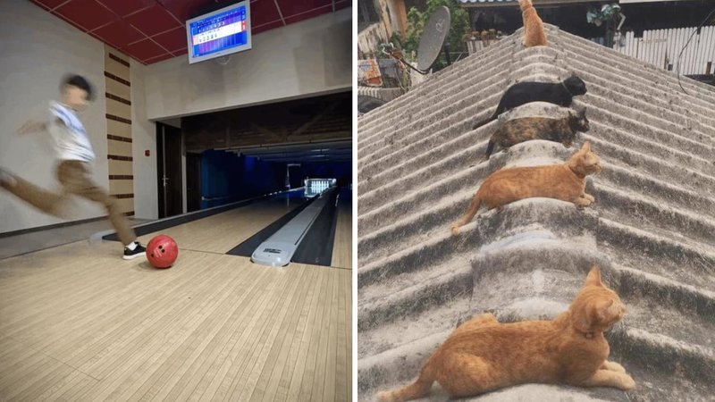 Two odd images.