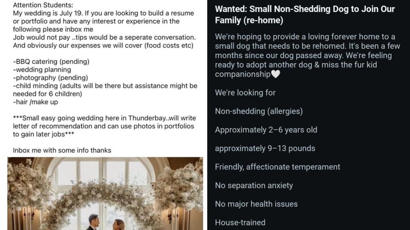 Two choosing beggars posts.