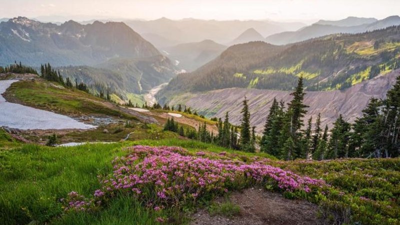 A landscape.