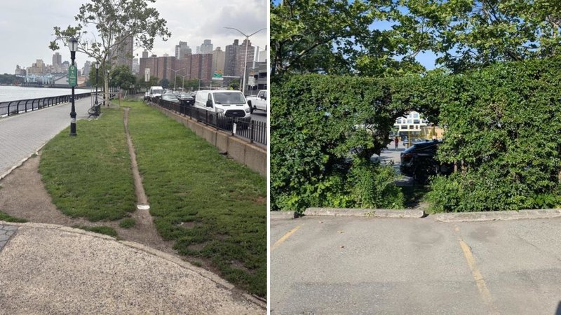 Two desire paths.
