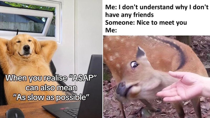 Two memes.