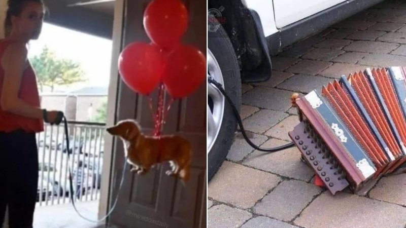 Two weird images.