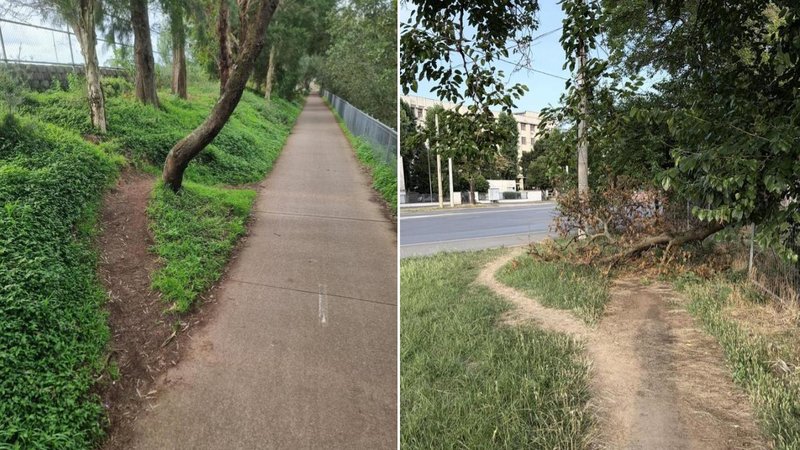 Two paths.