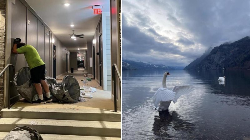 Two images.