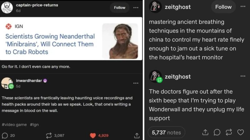Two Tumblr posts.