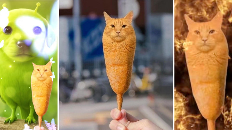 The 'Corn Dog Cat' meme explained.
