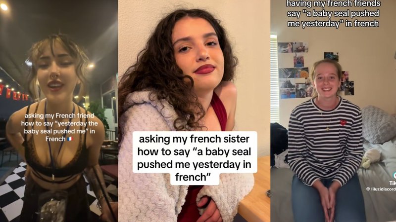 The 'Baby Seal In French' meme explained.