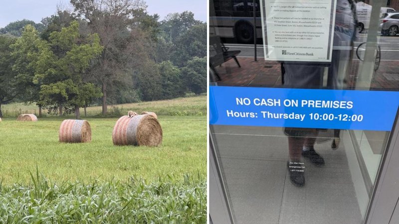 Two mildly interesting images.