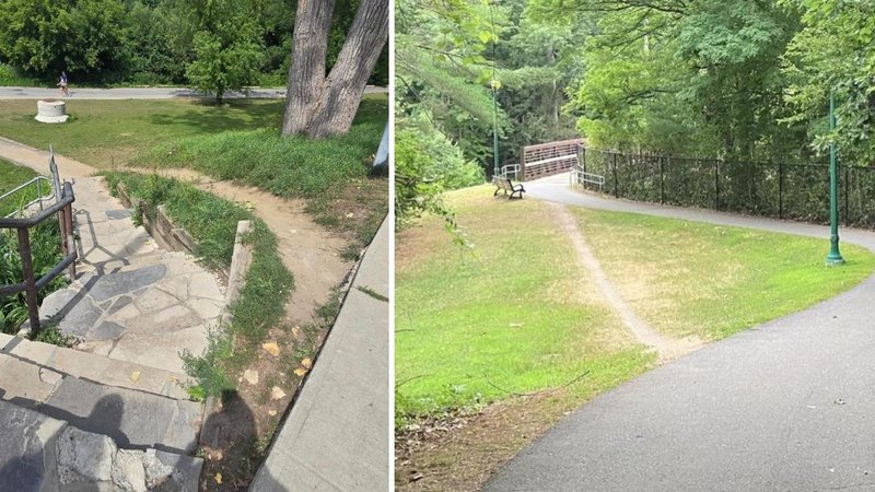 Two desire paths.