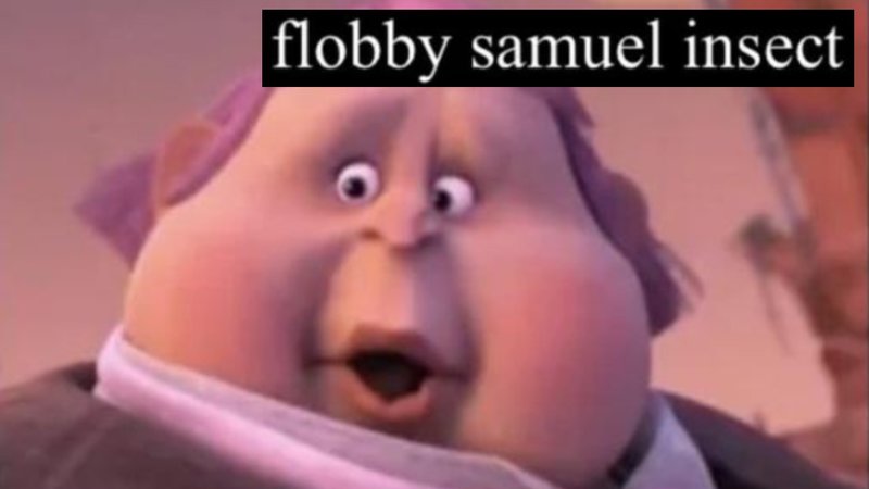 The 'Flobby Samuel Insect' meme explained.