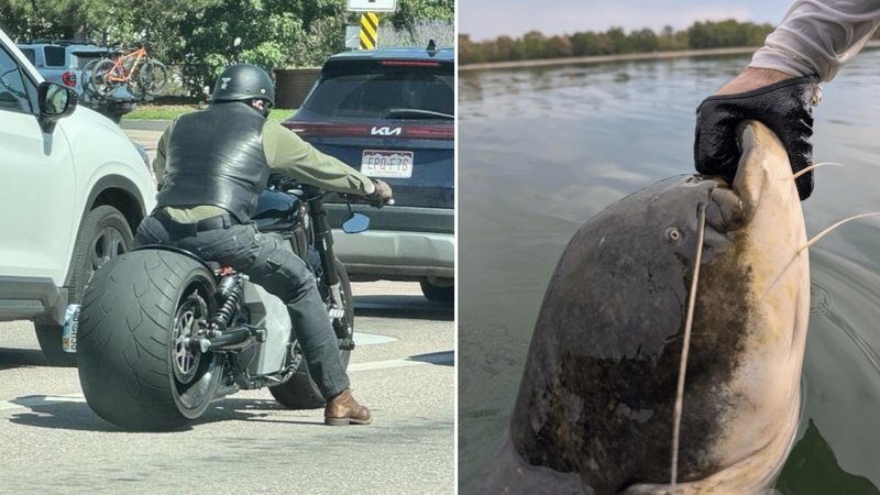 Two absolute units.