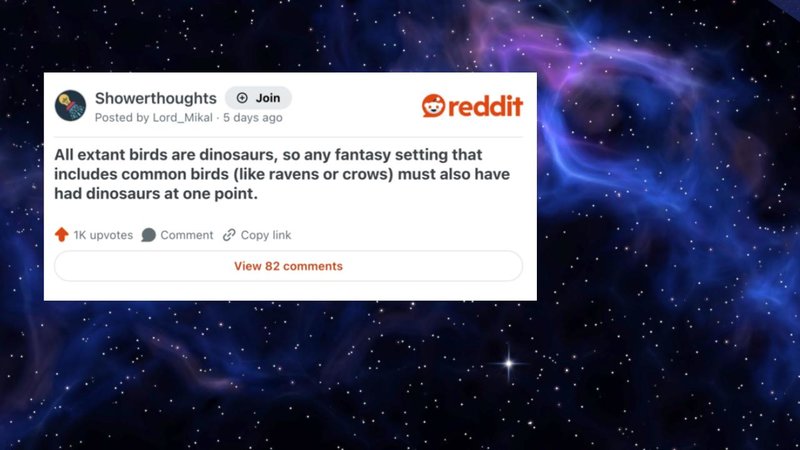 A shower thought.