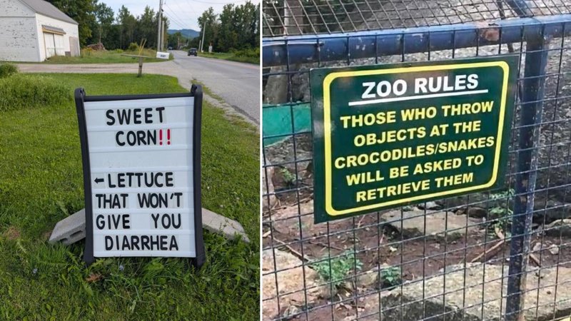 Two signs.